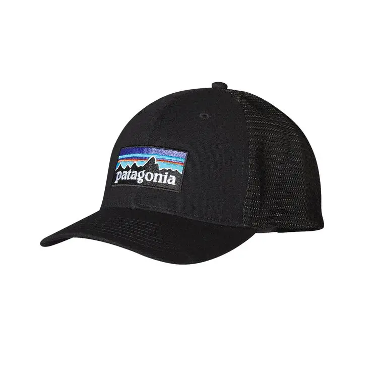 Patagonia P-6 Trucker Hat
