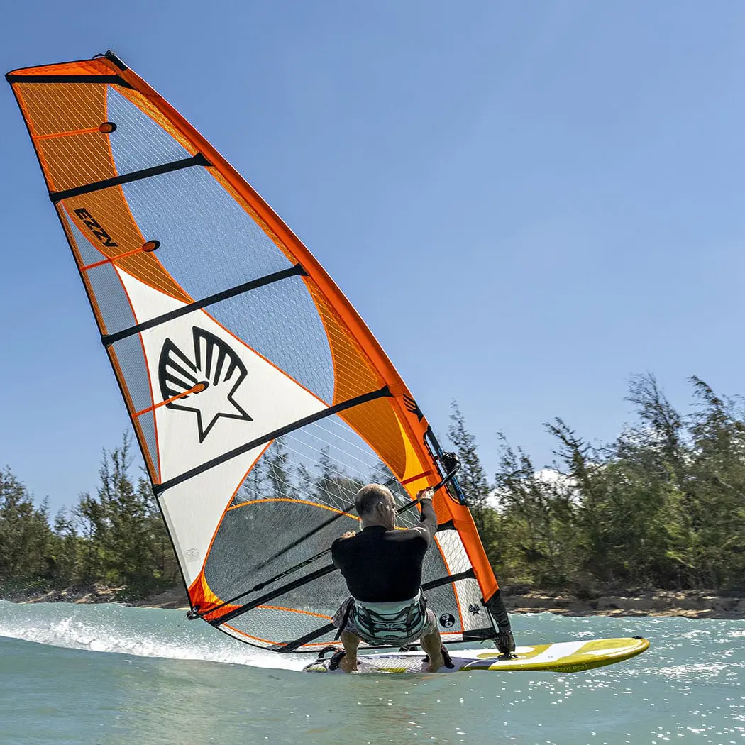 Ezzy Lion Windsurfing Sail 2023 - Image 5