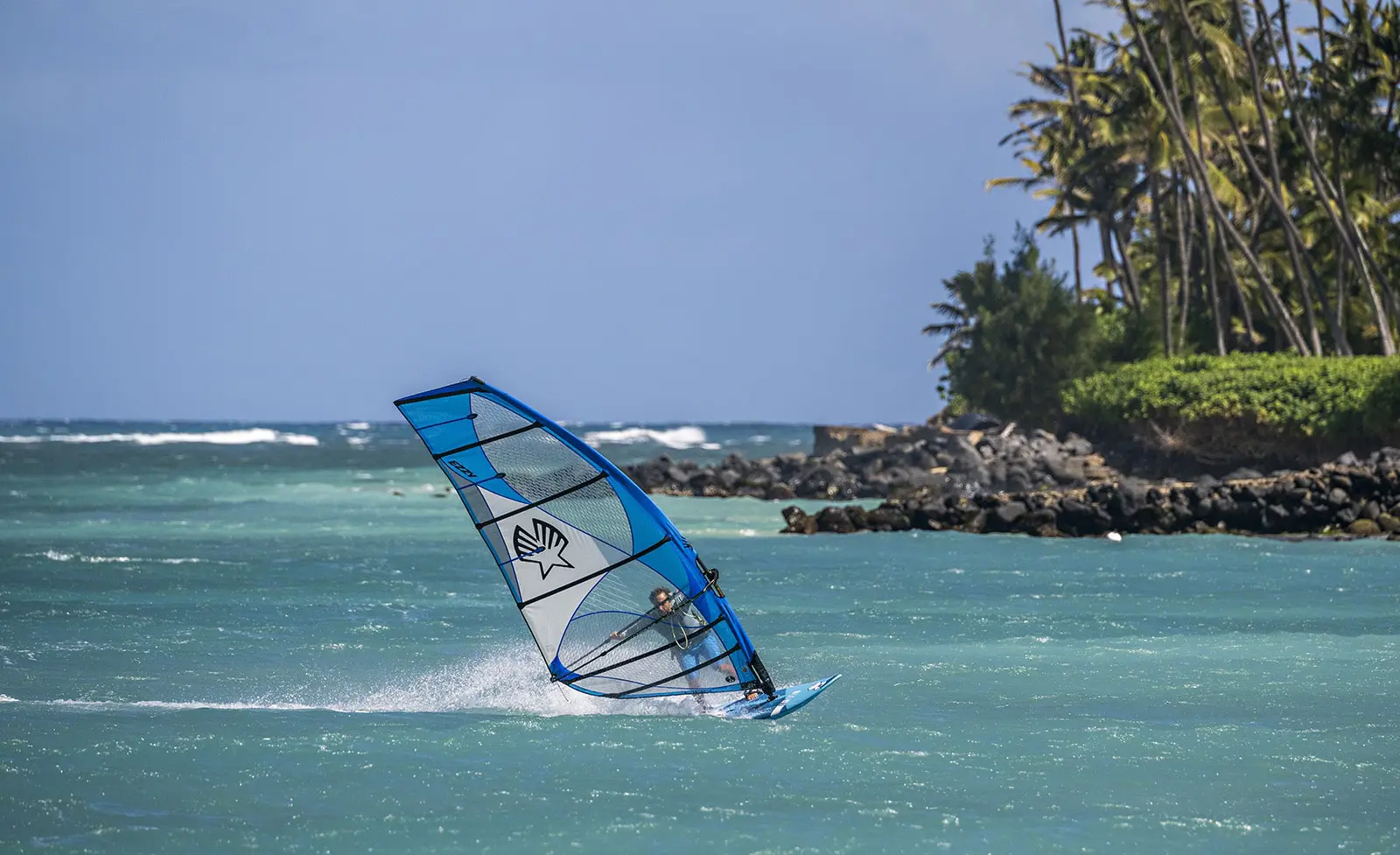 Ezzy Lion Windsurfing Sail 2023 - Image 3